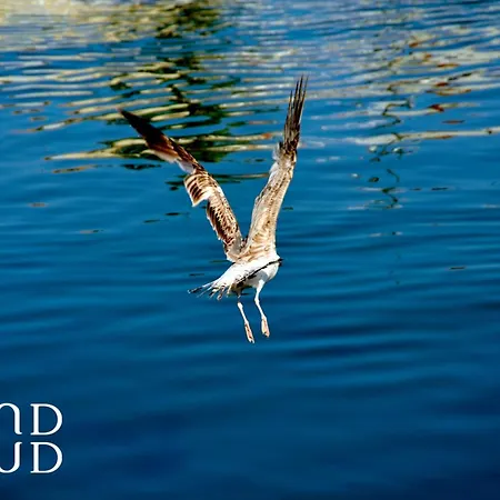 La Citadelle Du Soleil Au Grau Du Roi Pres De La * Ле-Гро-дю-Руа